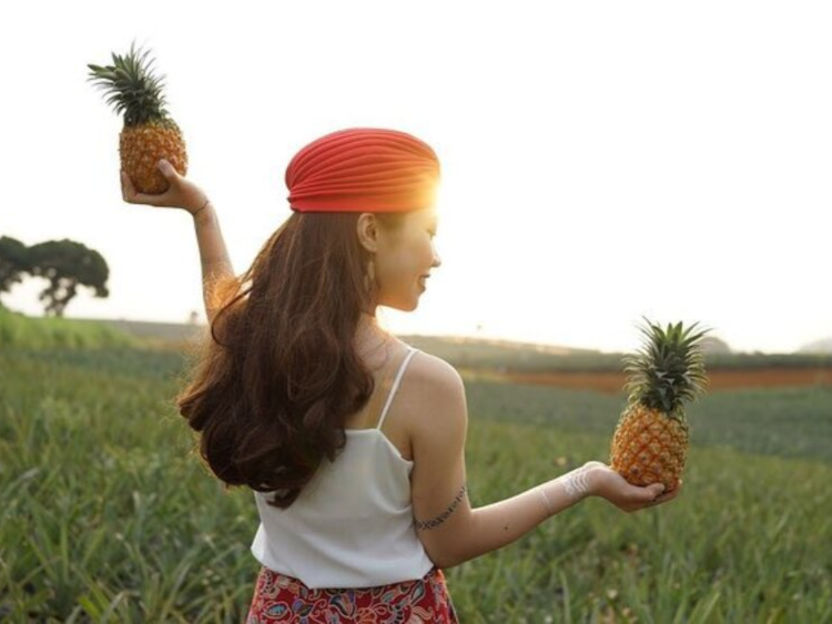 Đồi Dứa Tam Điệp gây ấn tượng với không gian sinh thái trong lành và background chụp ảnh tự nhiên. (