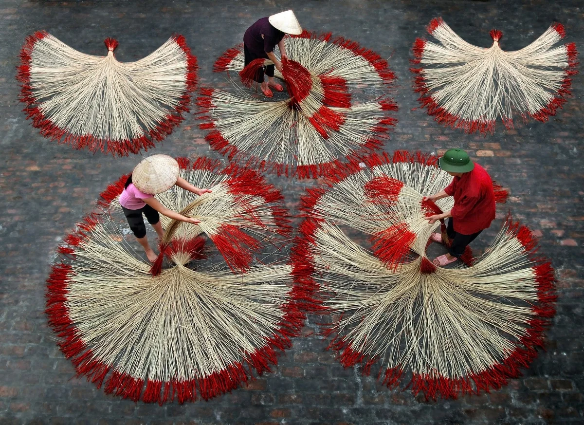 Người dân Kim Sơn thu hoạch cói trên vùng bãi bồi ven biển – nơi được khai hoang từ năm 1829 dưới thời Nguyễn Công Trứ.