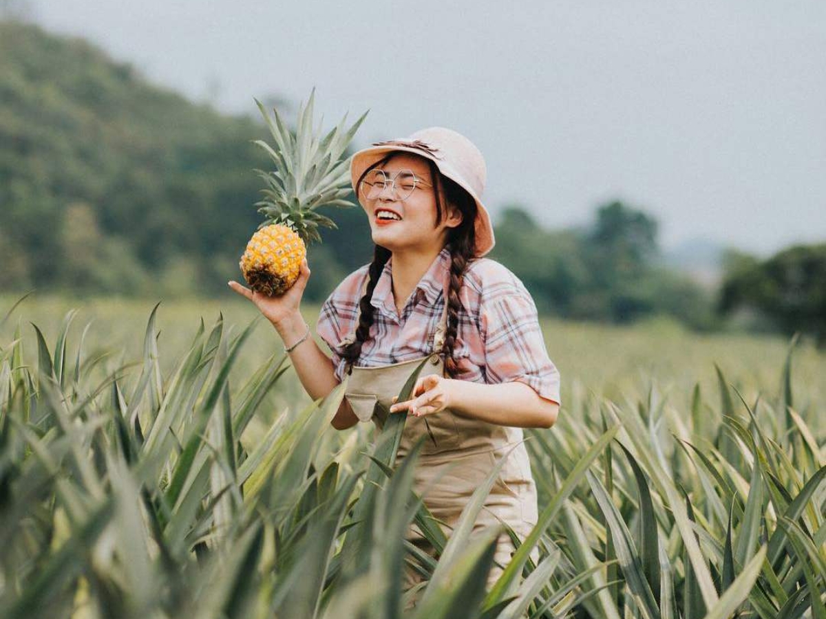 Trải nghiệm thu hoạch và check-in tại nông trại Đồng Giao