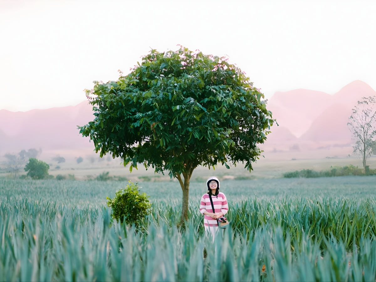 Tam Điệp Ninh Bình sở hữu cảnh quan thiên nhiên tuyệt đẹp và không khí trong lành, yên bình.