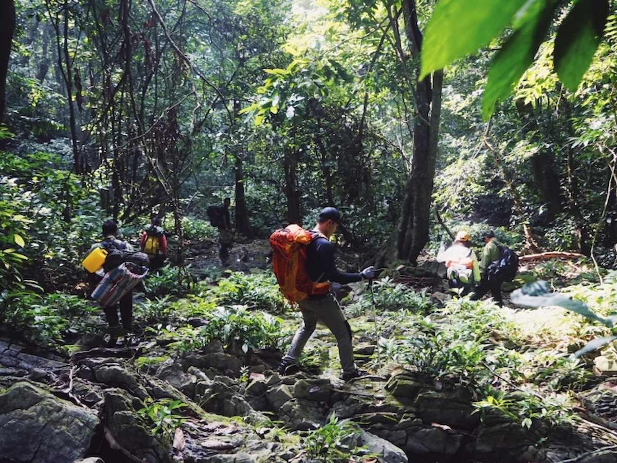 Hành trình trekking qua những cung đường rừng xanh mát, tận hưởng không gian thiên nhiên hoang sơ tại Cúc Phương. (Nguồn: Sưu tầm)