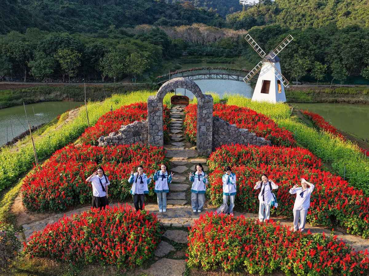 Thiên đường hoa và Miệt Vườn Thung Nham mang đến không gian check-in ngập tràn sắc màu. (Nguồn: Sưu tầm)