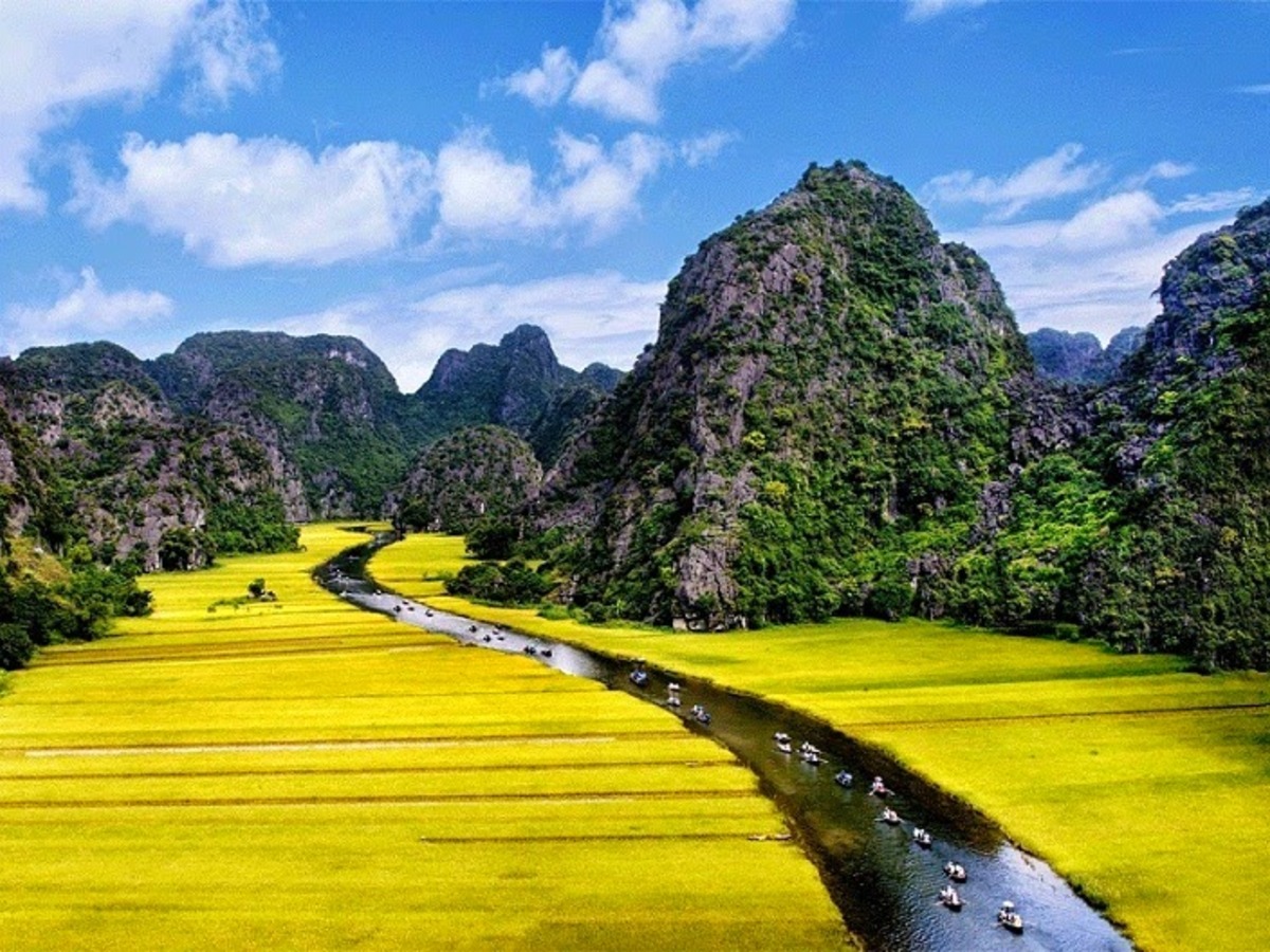 Sông Ngô Đồng uốn lượn qua cánh đồng lúa tạo nên khung cảnh đặc trưng của Tam Cốc. (Nguồn: Sưu tầm)