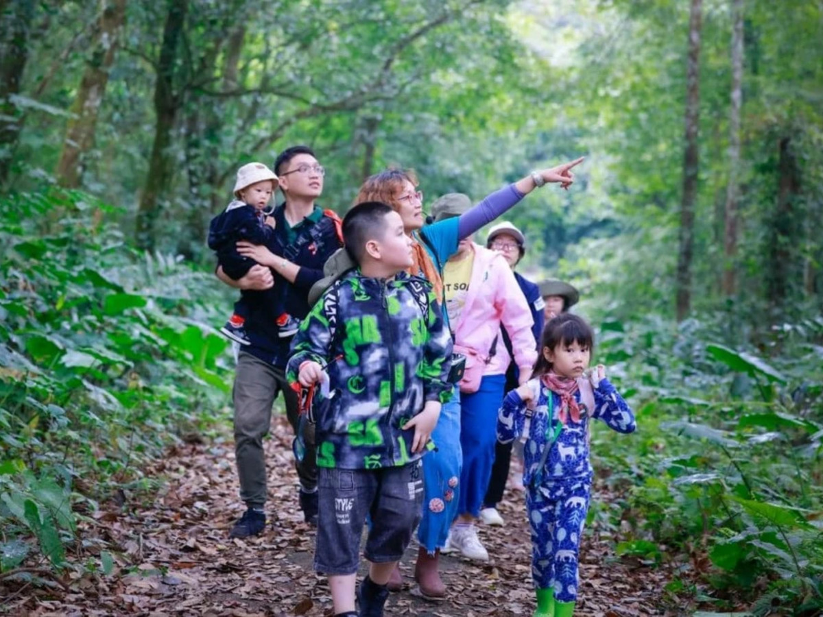 Hành trình đi bộ trong rừng Cúc Phương mang đến cho trẻ cơ hội quan sát hệ sinh thái trực tiếp. (Nguồn: Sưu tầm)