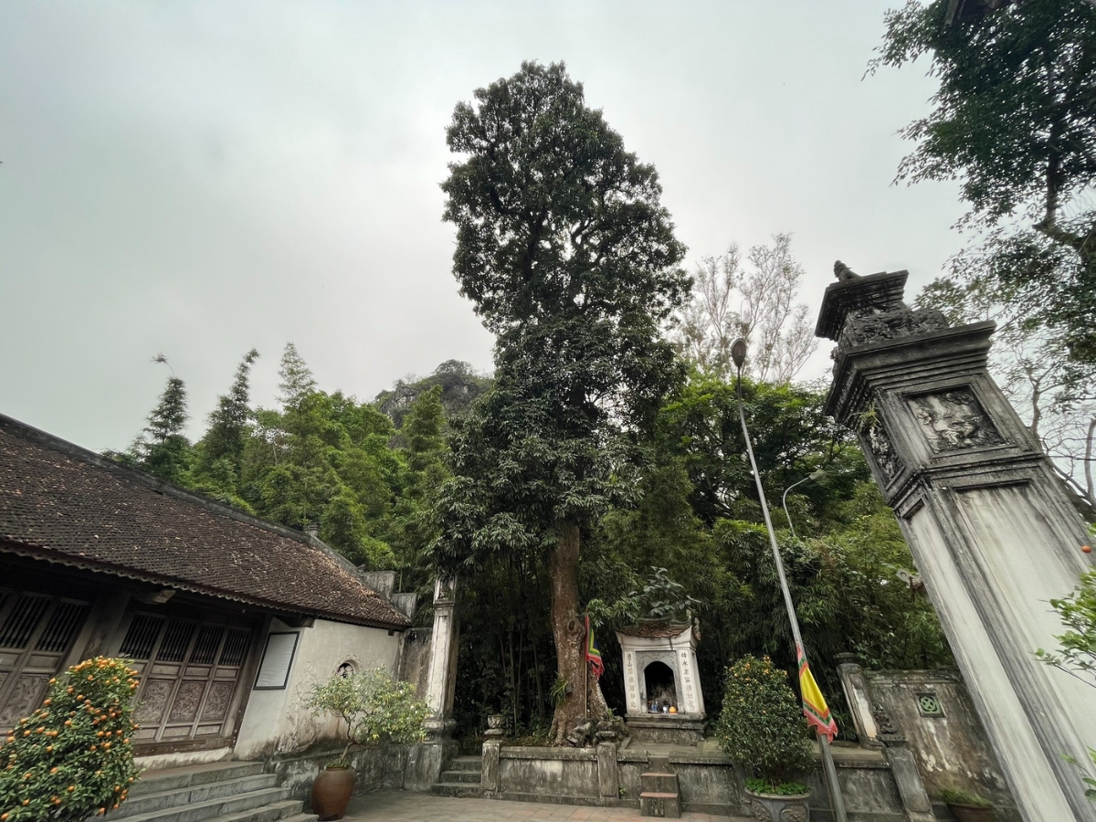 Đền Trúc mang vẻ đẹp cổ kính, thanh tịnh giữa không gian núi rừng và những hàng trúc xanh mát. (Nguồn: Sưu tầm)