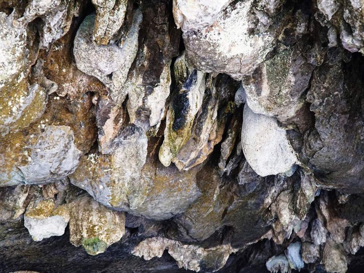 Hang Bụt nằm trong khu du lịch sinh thái Thung Nham được xếp hạng là một trong những hang động tự nhiên đẹp mê hồn của Việt Nam. (Nguồn: Sưu tầm)