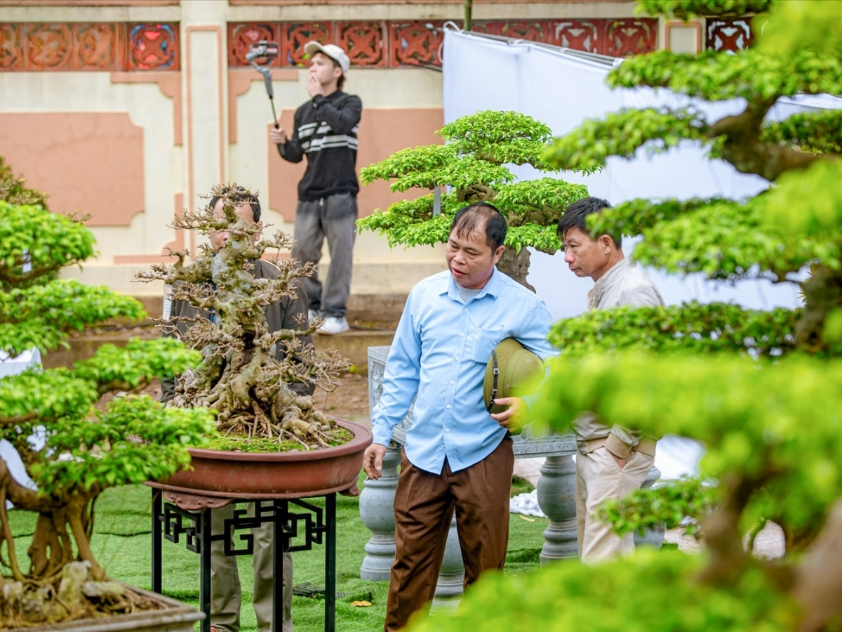 Lễ hội hoa cây cảnh đóng vai trò quan trọng trong kinh tế, tín ngưỡng và văn hóa của làng Vị Khê. (Nguồn: Sưu tầm)