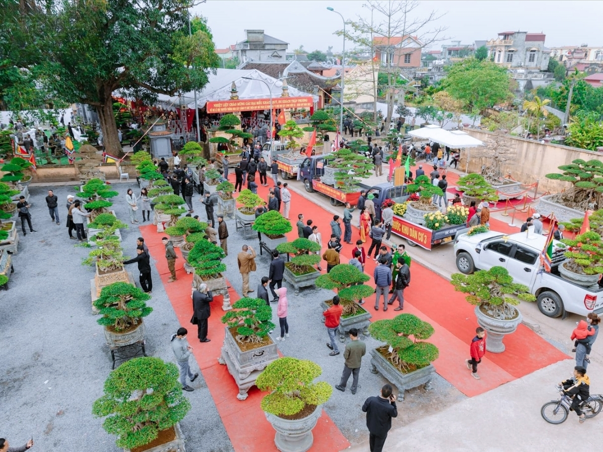 Làng Vị Khê được biết đến là cái nôi của nghề trồng hoa và cây cảnh truyền thống. (Nguồn: Sưu tầm)