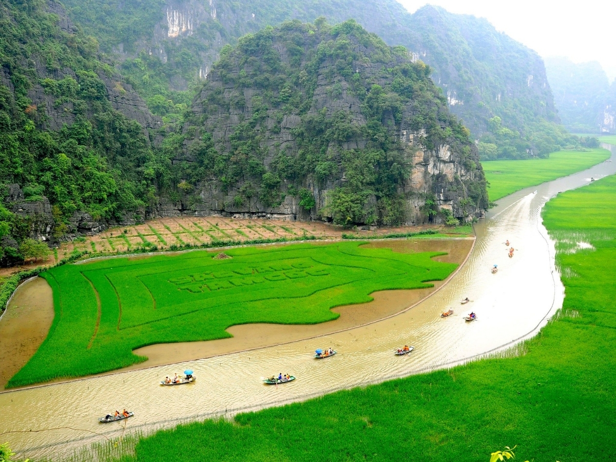 Cánh đồng lúa ở Tam Cốc là một trong những hình ảnh biểu tượng làm nên vẻ đẹp đặc trưng của Ninh Bình. (Nguồn: Sưu tầm)