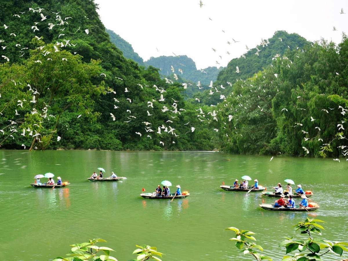 Vườn chim Thung Nham. (Nguồn: Sưu tầm)