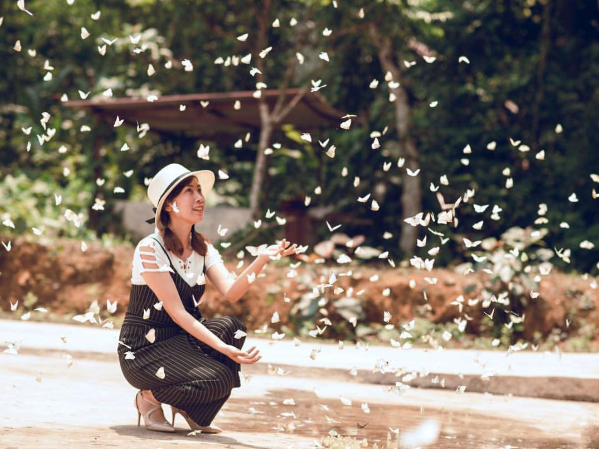 Du khách mê mẩn check in cùng đàn bướm.