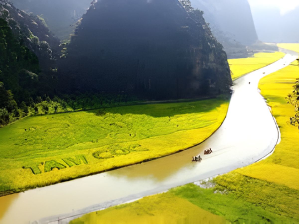 Khung cảnh yên bình và thơ mộng đặc trưng của Ninh Bình vào mùa lúa chín.