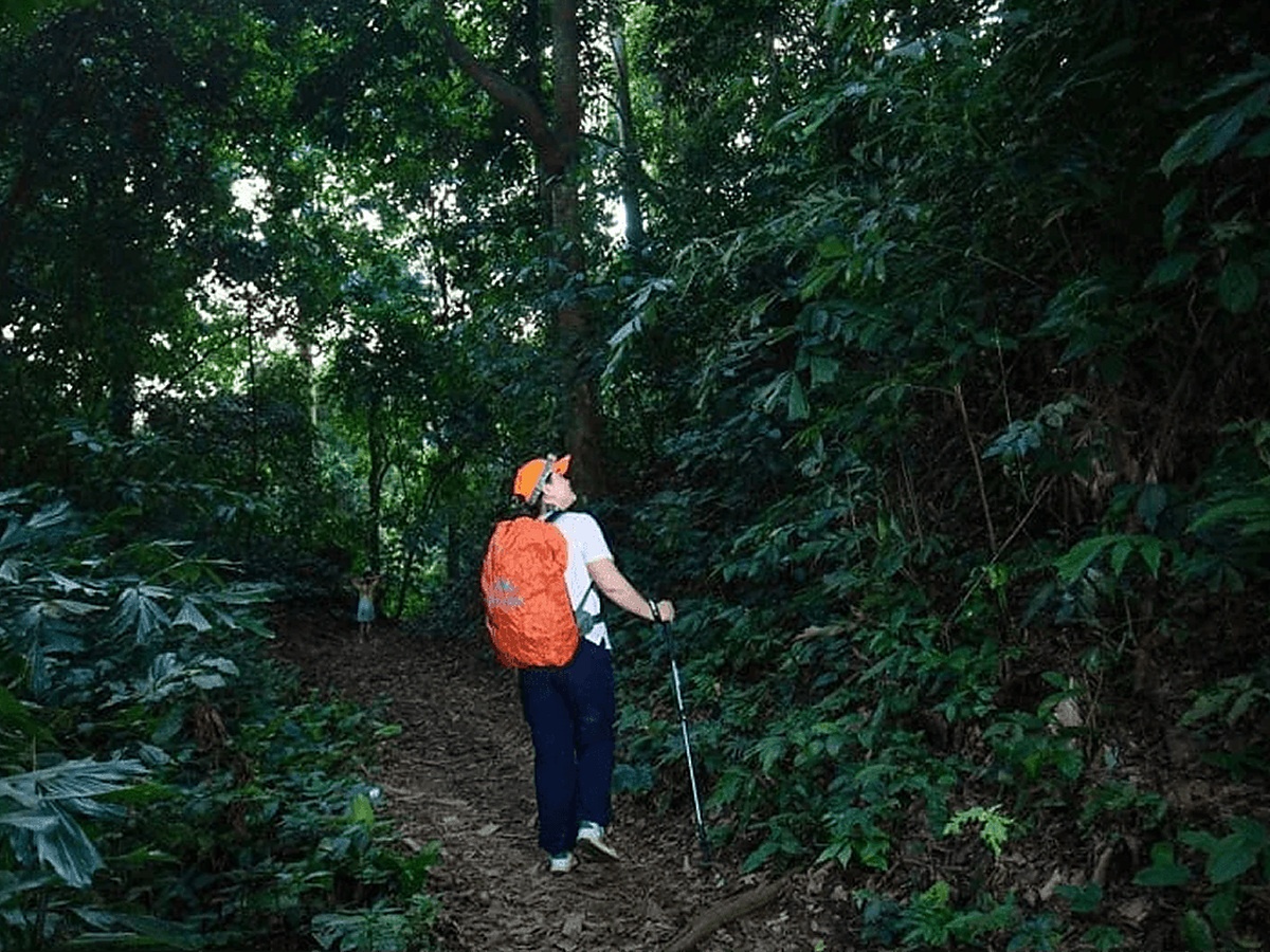 Trekking giúp du khách khám phá đường mòn và hệ thực vật trong rừng nguyên sinh Cúc Phương. (Nguồn: Sưu tầm)