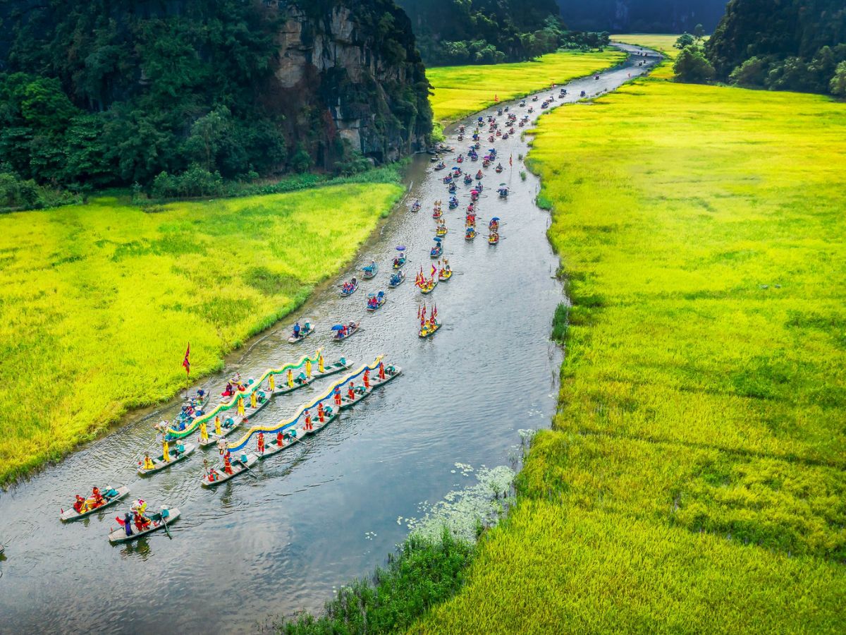 Lễ hội Sắc vàng Tam Cốc rực rỡ với những đoàn thuyền xuôi dòng Ngô Đồng giữa cánh đồng lúa chín vàng. (Nguồn: Sưu tầm)