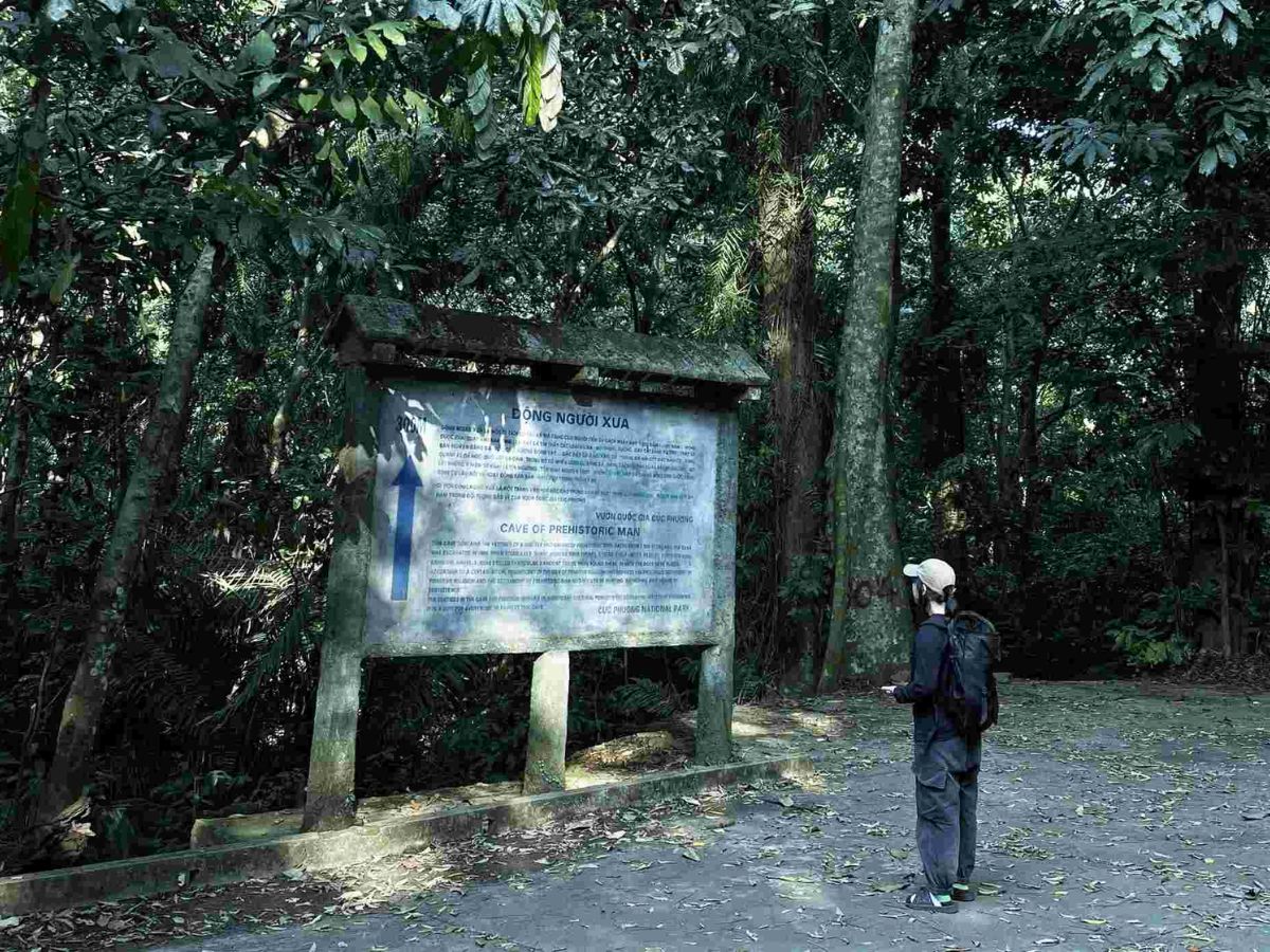 Lựa chọn cung đường vừa sức giúp hành trình trekking Cúc Phương thoải mái và trọn vẹn hơn. (Nguồn: Sưu tầm)