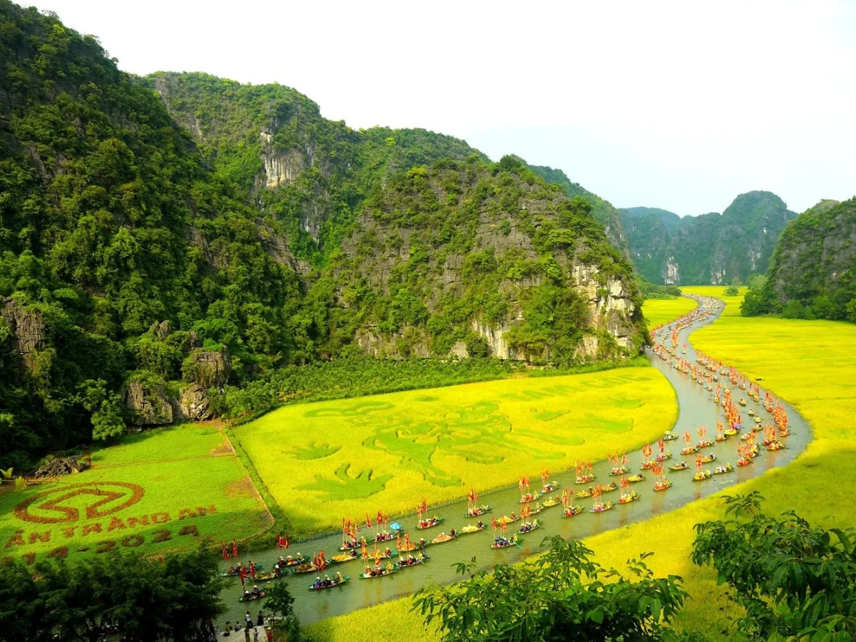 Cánh đồng lúa chín vàng uốn lượn, chạy dọc theo dòng sông Ngô Đồng. (Nguồn: Sưu tầm)