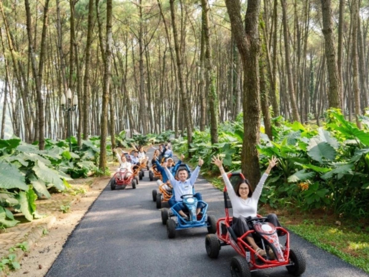 Rừng thông hồ Đồng Chương với những thân cây và khoảng xanh tự nhiên. (Nguồn: Sưu tầm).
