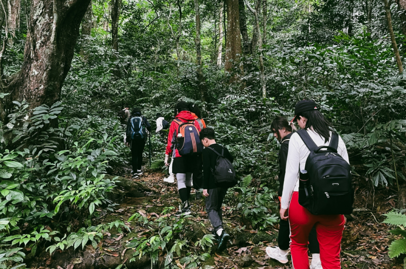 Vườn quốc gia Cúc Phương là điểm trekking nổi tiếng bậc nhất miền Bắc. (Nguồn: Sưu tầm)