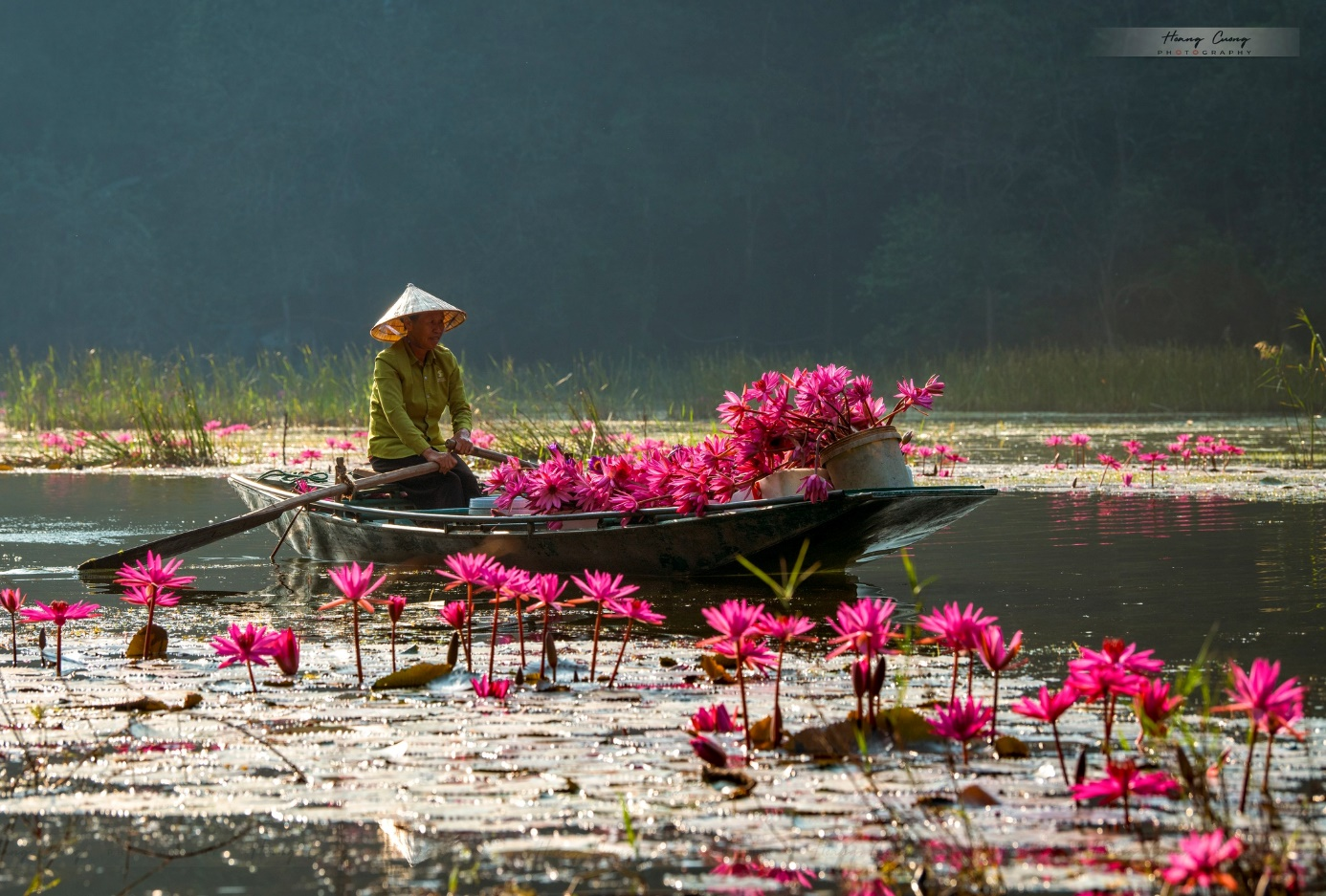 Tuyến sông Ngô Đồng tại Tam Cốc – Bích Động là điểm đến lý tưởng với góc nhìn đa dạng từ thuyền hoặc bờ sông. (Nguồn: Sưu tầm)