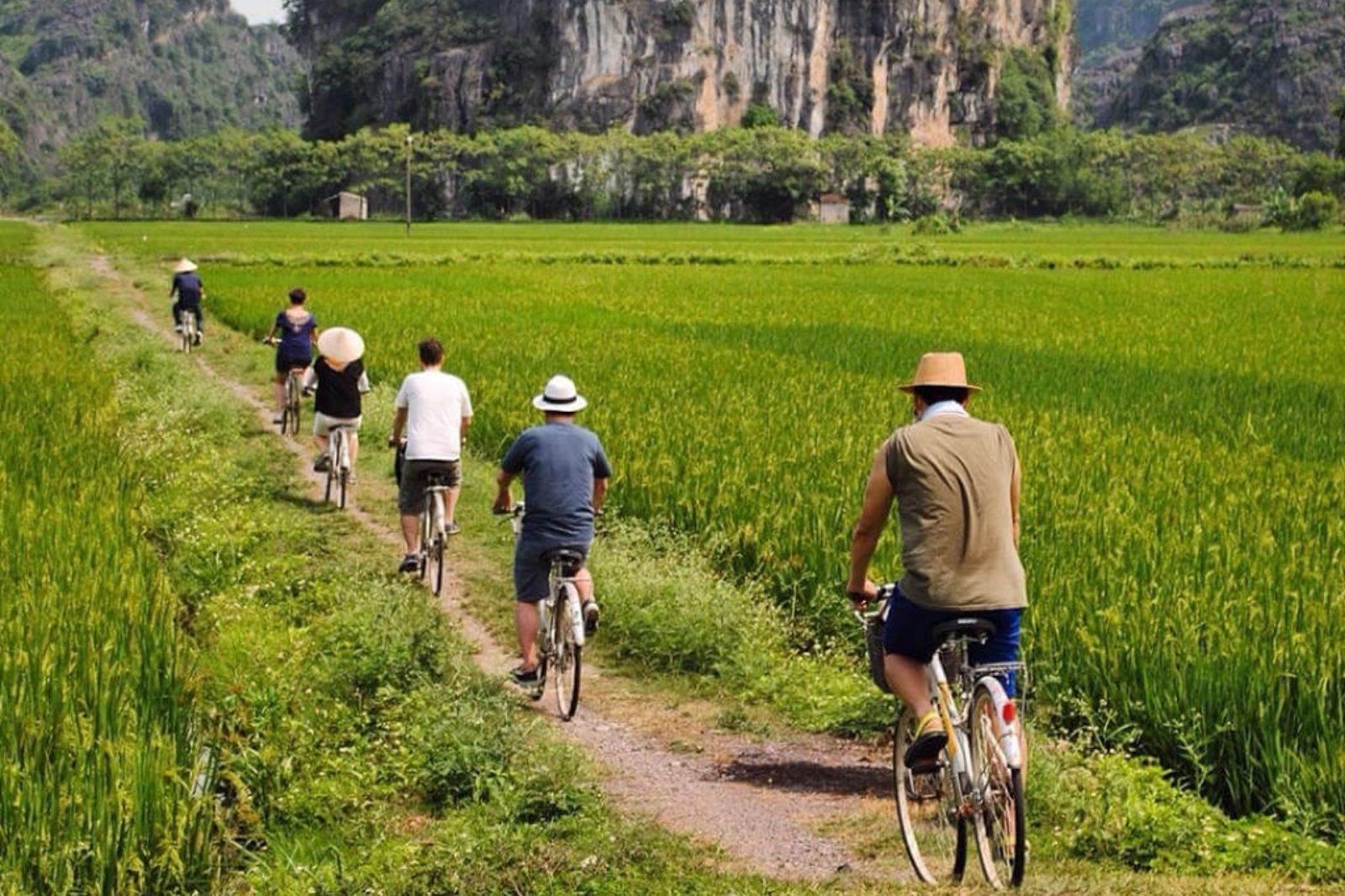 Cảnh quan lúa non xanh tươi mang nét đẹp riêng, dịu dàng và yên bình. (Nguồn: Sưu tầm)