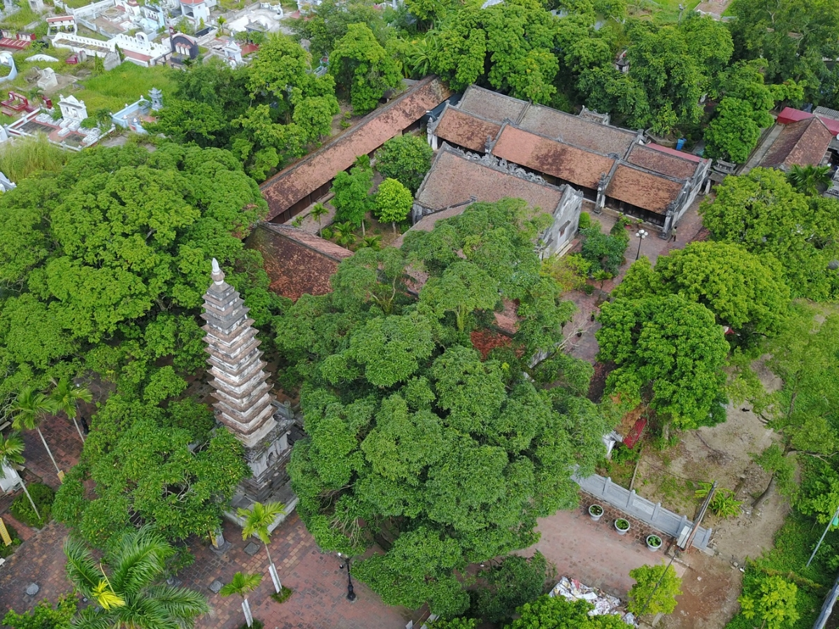 Chùa Phổ Minh nổi bật với tháp cổ mang dấu ấn kiến trúc thời Trần và giá trị lịch sử lâu đời. (Nguồn: Sưu tầm)
