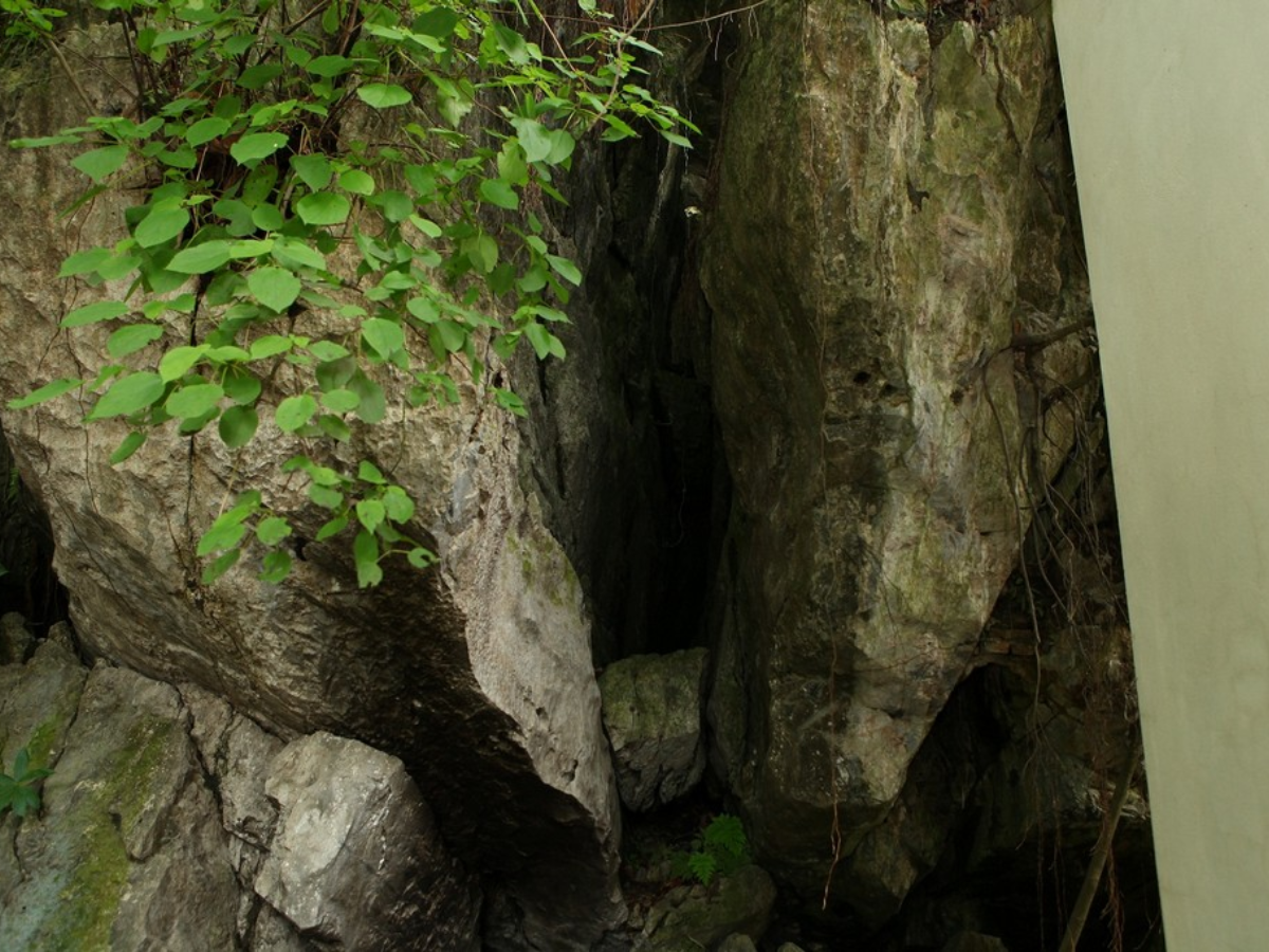 Ngắm nhìn vẻ đẹp thiên nhiên tuyệt diệu của động vào buổi sáng