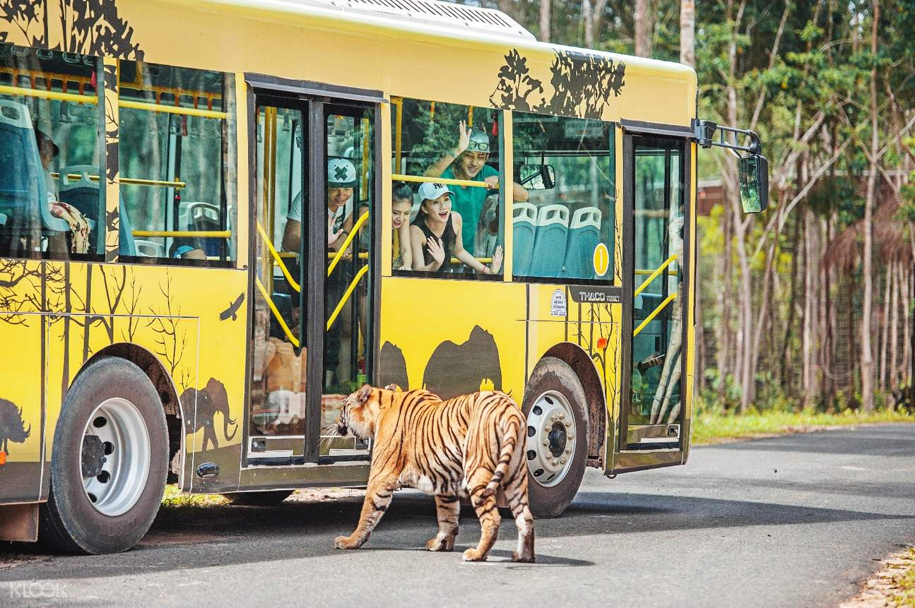 Tigers and other animals roam freely under blue skies at Vinpearl Safari Phu Quoc. (Photo: collected)
