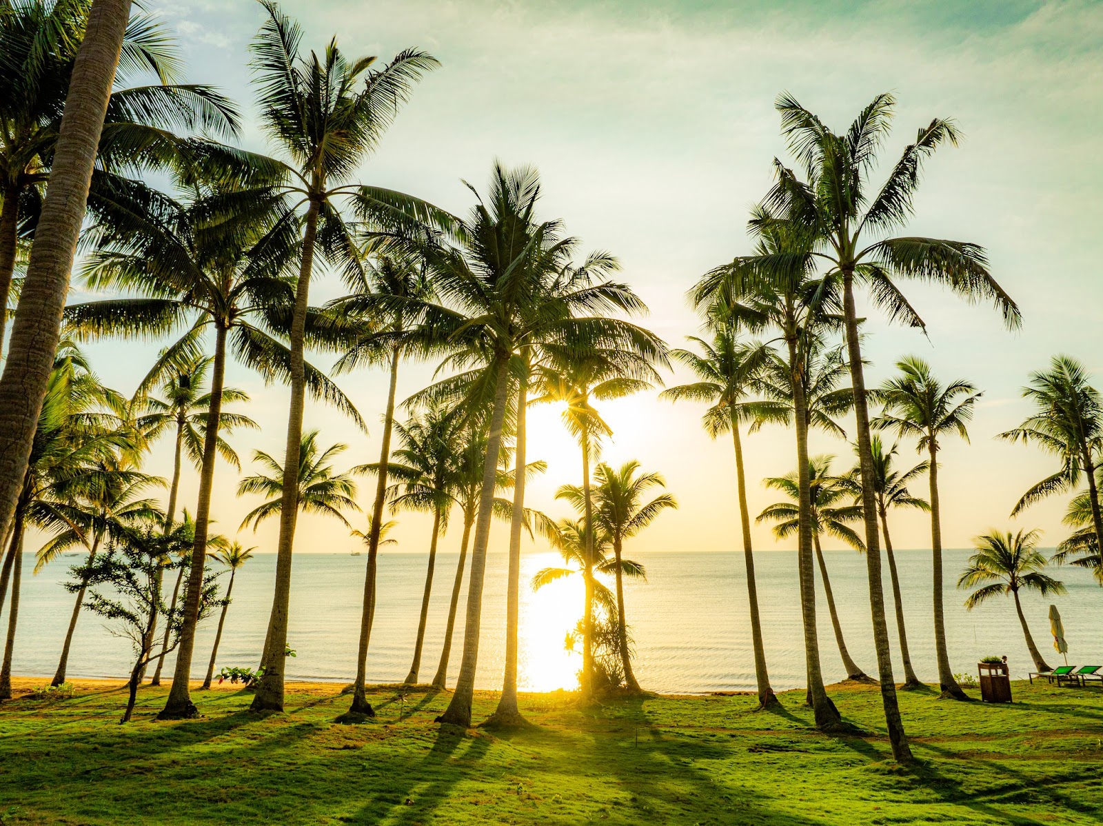 Du khách có thể chợp mắt thư giãn trong rừng dừa thơ mộng trên đảo Hòn Thơm.