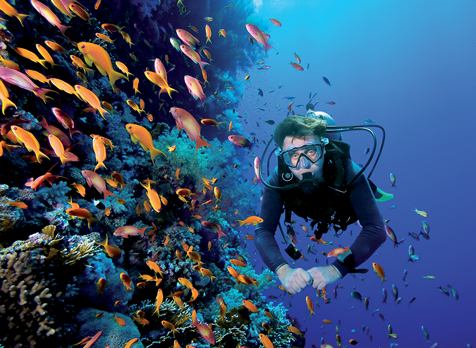 Du khách có thể tham gia tour lặn biển để ngắm những rạn san hô rực rỡ sắc màu