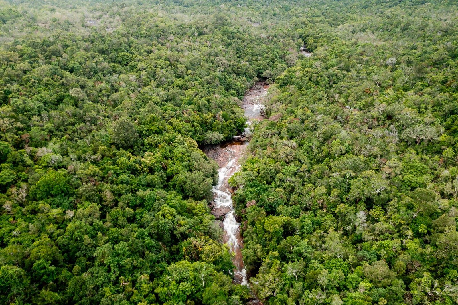 Khung cảnh thiên nhiên hùng vĩ tại suối Đá Bàn.