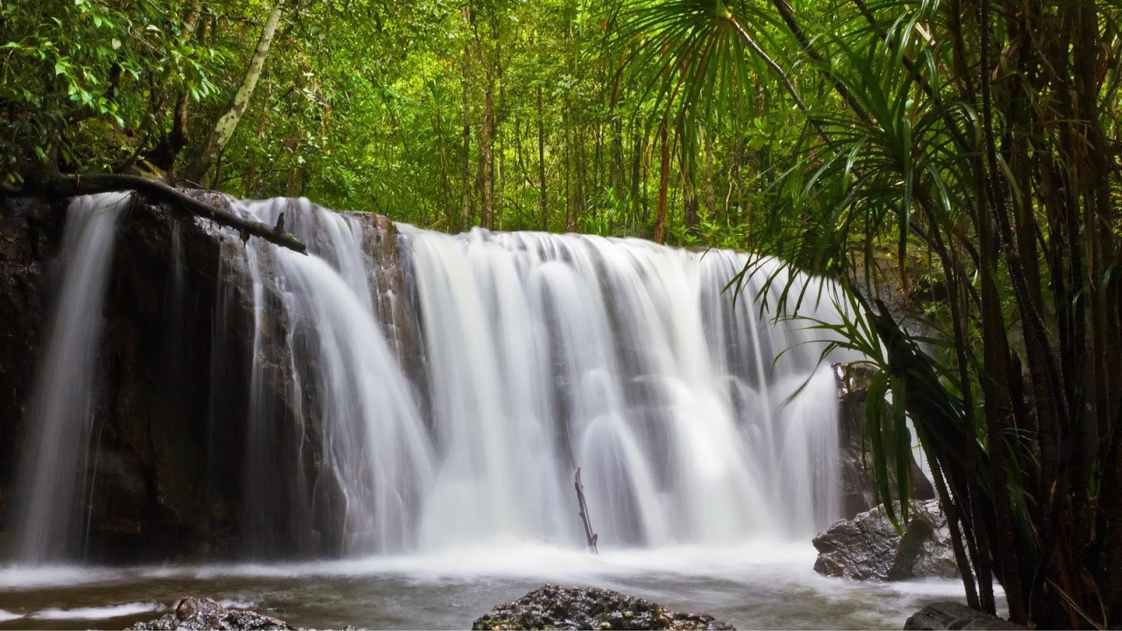 Suối Tranh là khu du lịch sinh thái nổi tiếng của đảo Ngọc