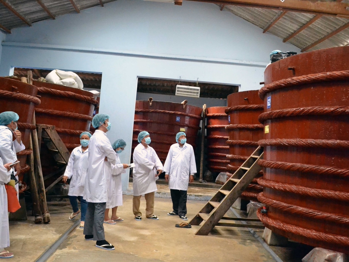 Du khách tham quan và tìm hiểu quy trình làm mắm tại Phú Quốc.