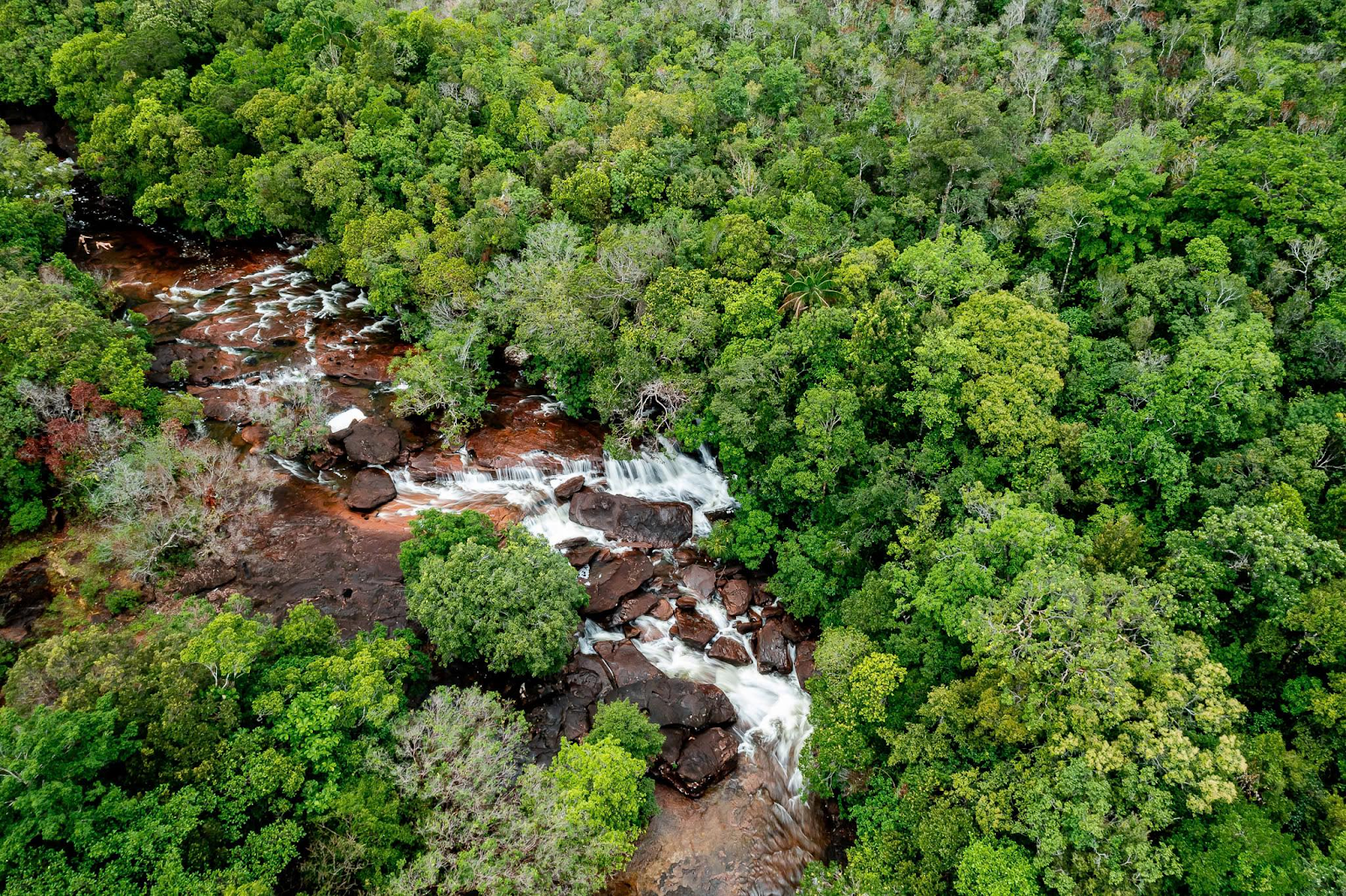 Những dòng suối mát lành chảy xuyên qua Vườn quốc gia Phú Quốc.
