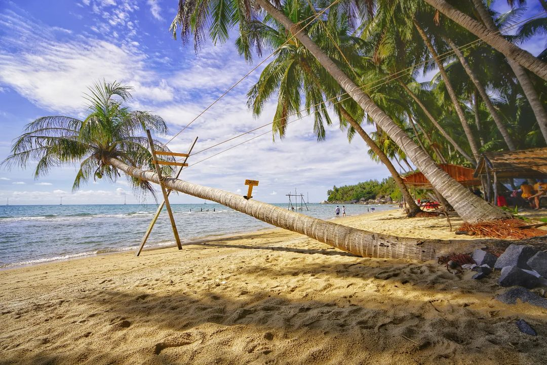 Buổi sáng là thời gian lý tưởng để khám phá các bãi biển tại Hòn Sơn (Nguồn: Sưu tầm)