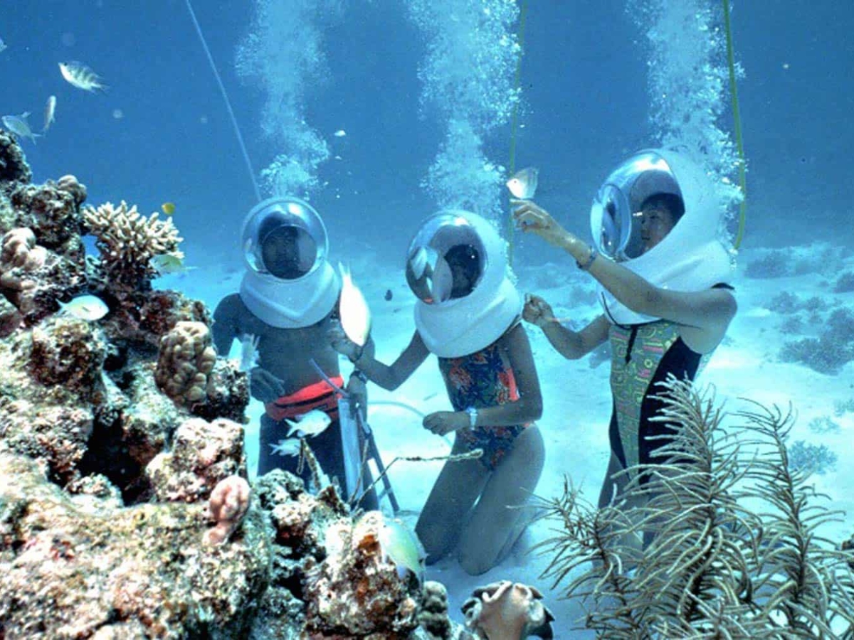 Trải nghiệm lặn ngắm san hô và đàn cá tung tăng bơi lội