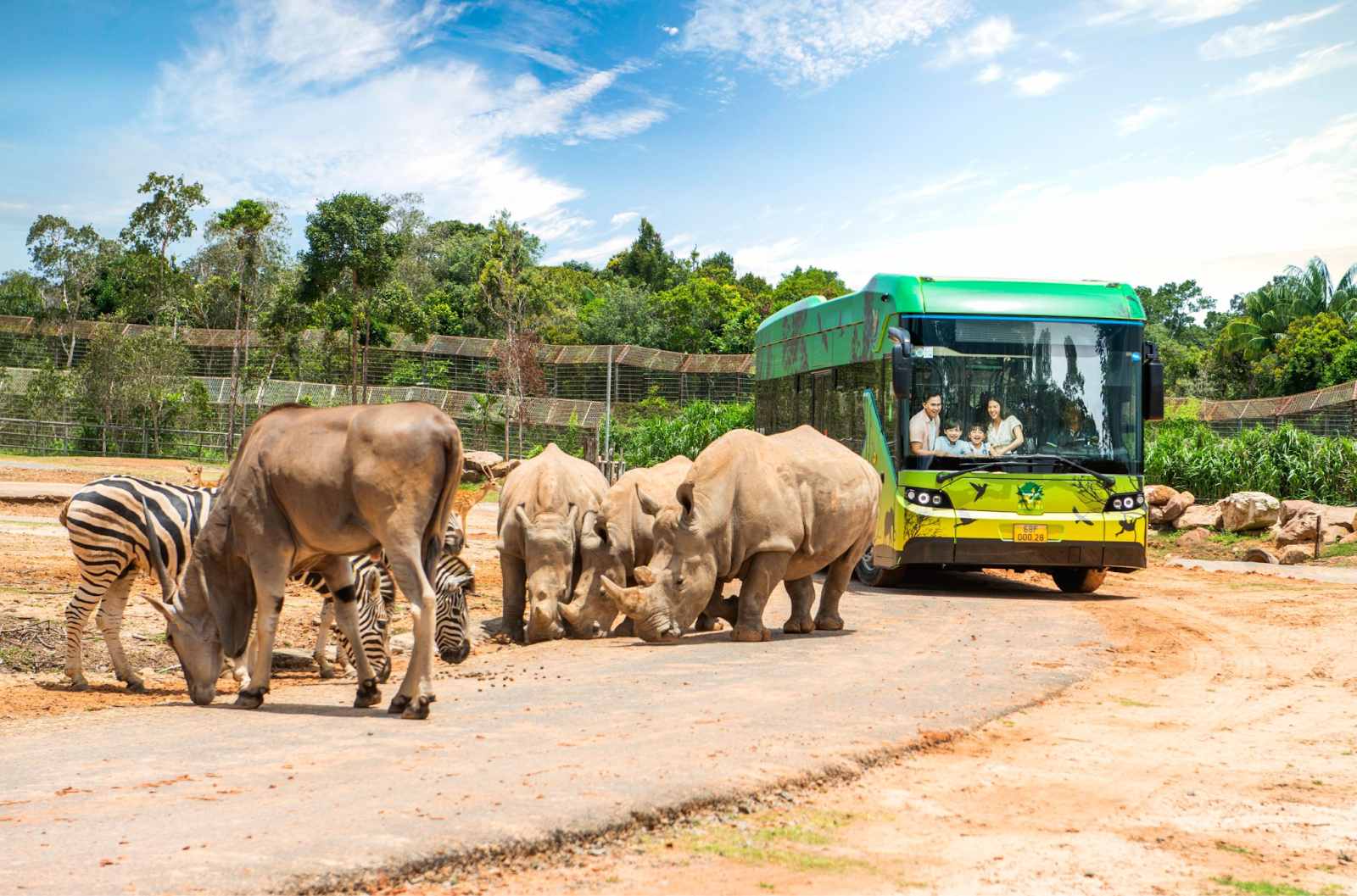 Trải nghiệm tham quan thế giới động vật tại Vinpearl Safari