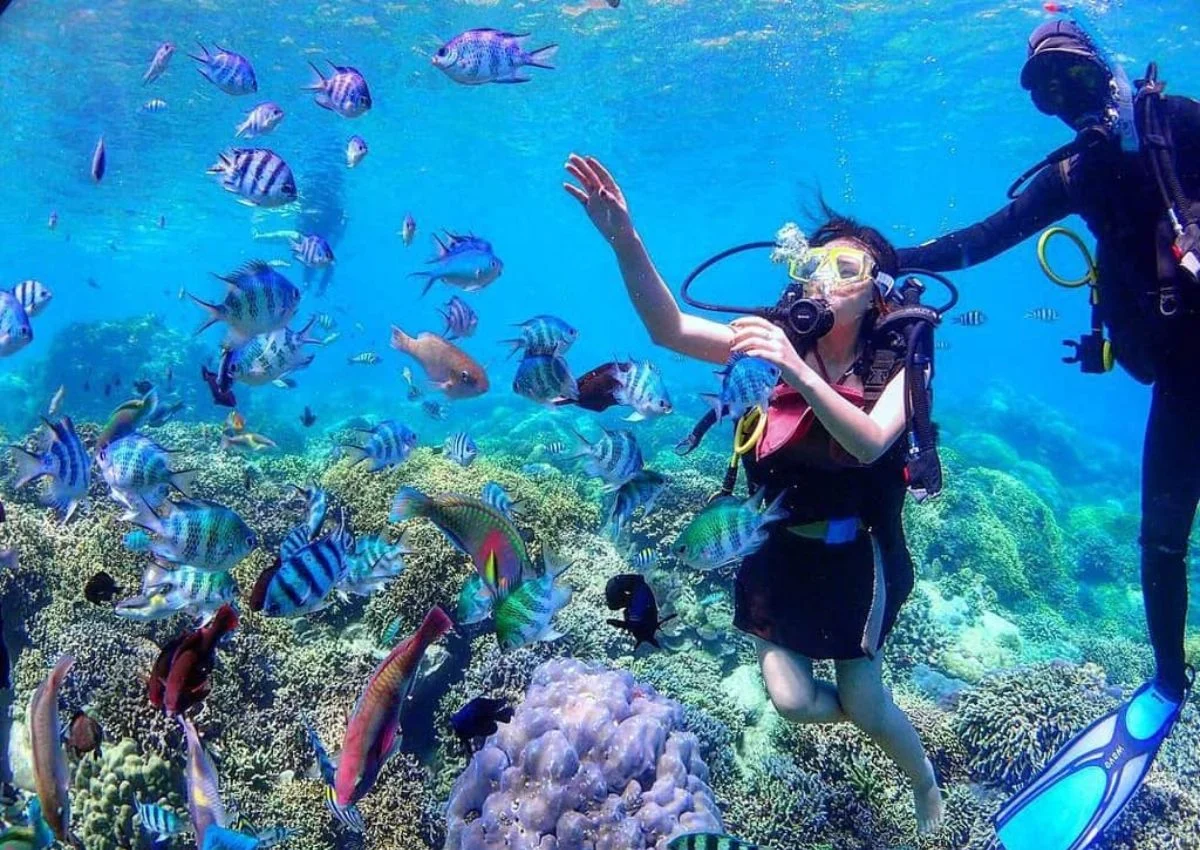 An Thoi diving tours are popular among visitors for their stunning coral reefs