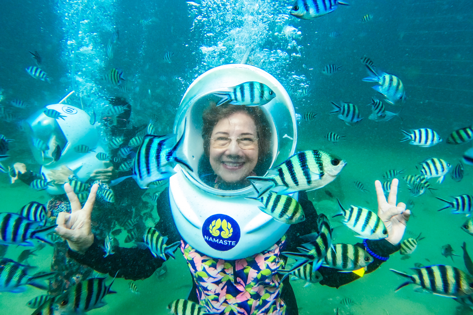 Pristine coral formations and starfish thrive in the shallow waters of Rach Vem
