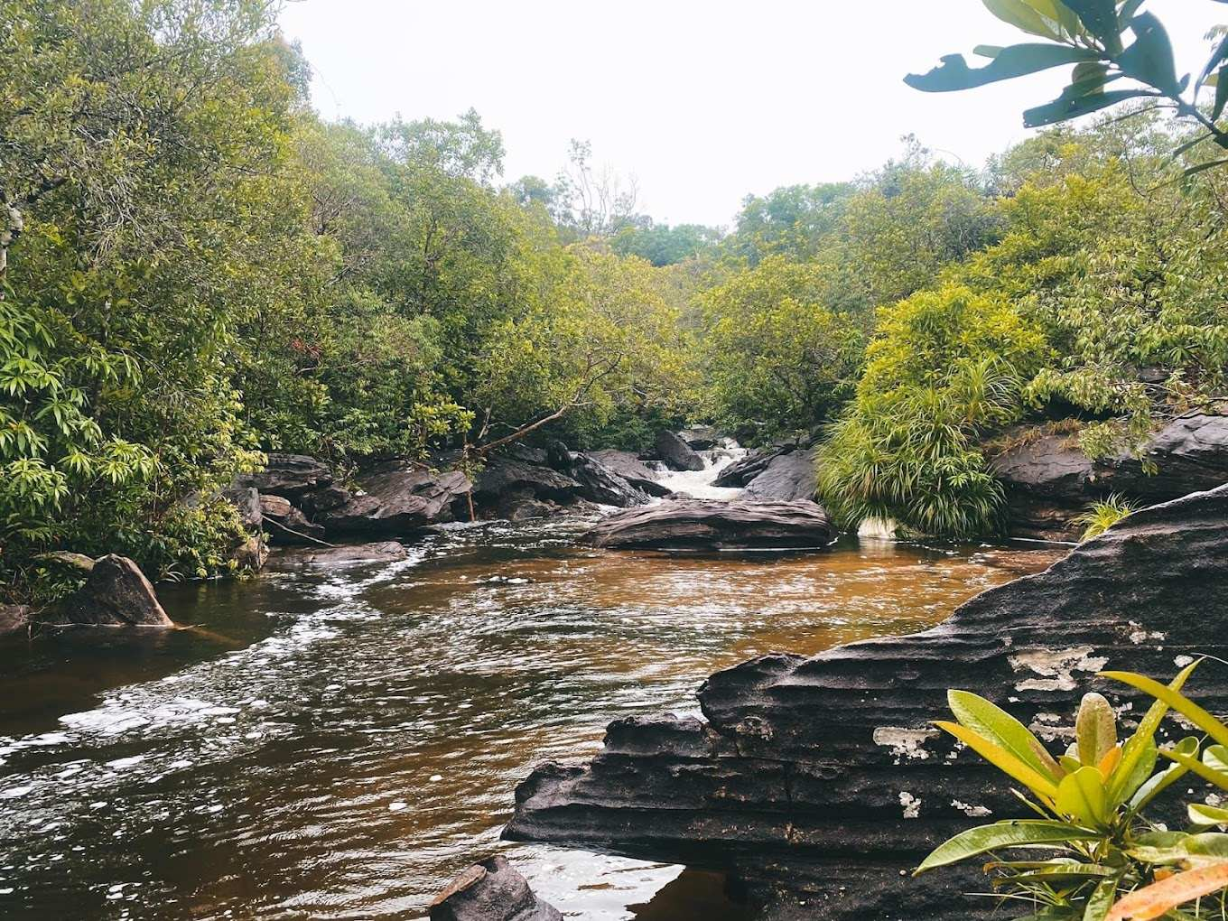 Suối Tiên có dòng chảy khá êm ả vào mùa khô
