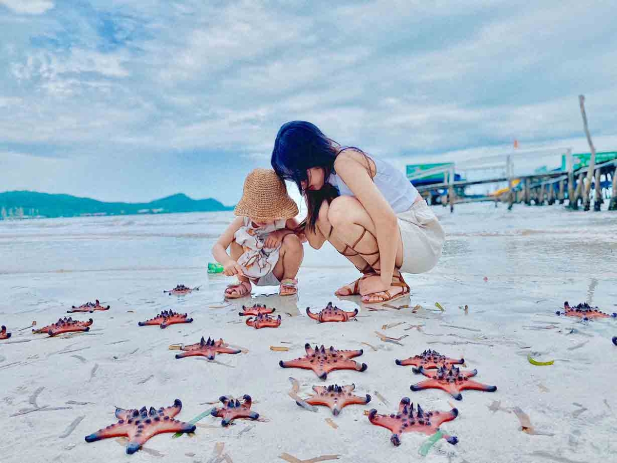 Sao biển Phú Quốc xuất hiện nhiều nhất vào mùa khô từ tháng 12 đến tháng 4 năm sau