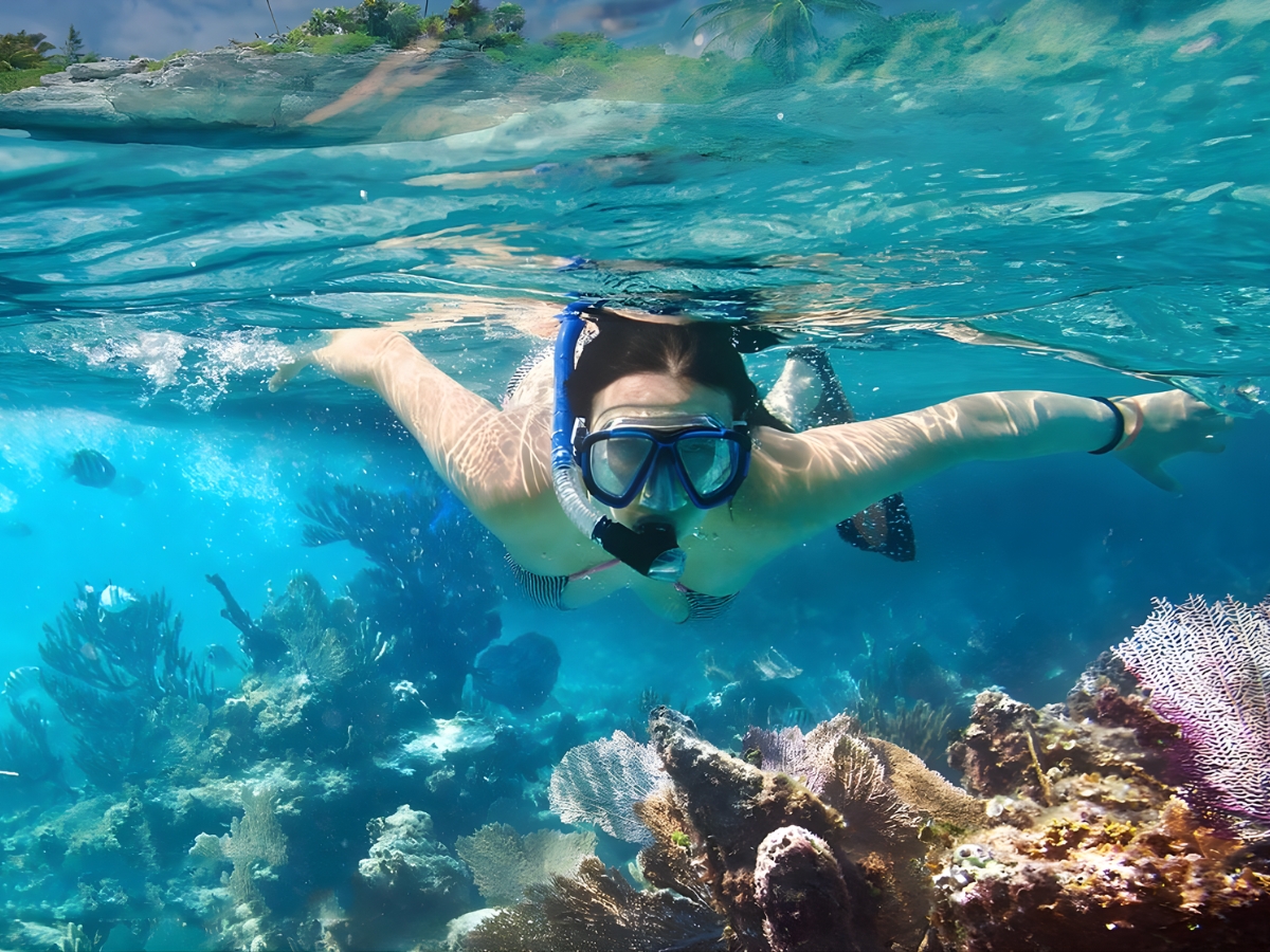 Snorkeling nhẹ nhàng ngắm san hô tại hòn Đồi Mồi