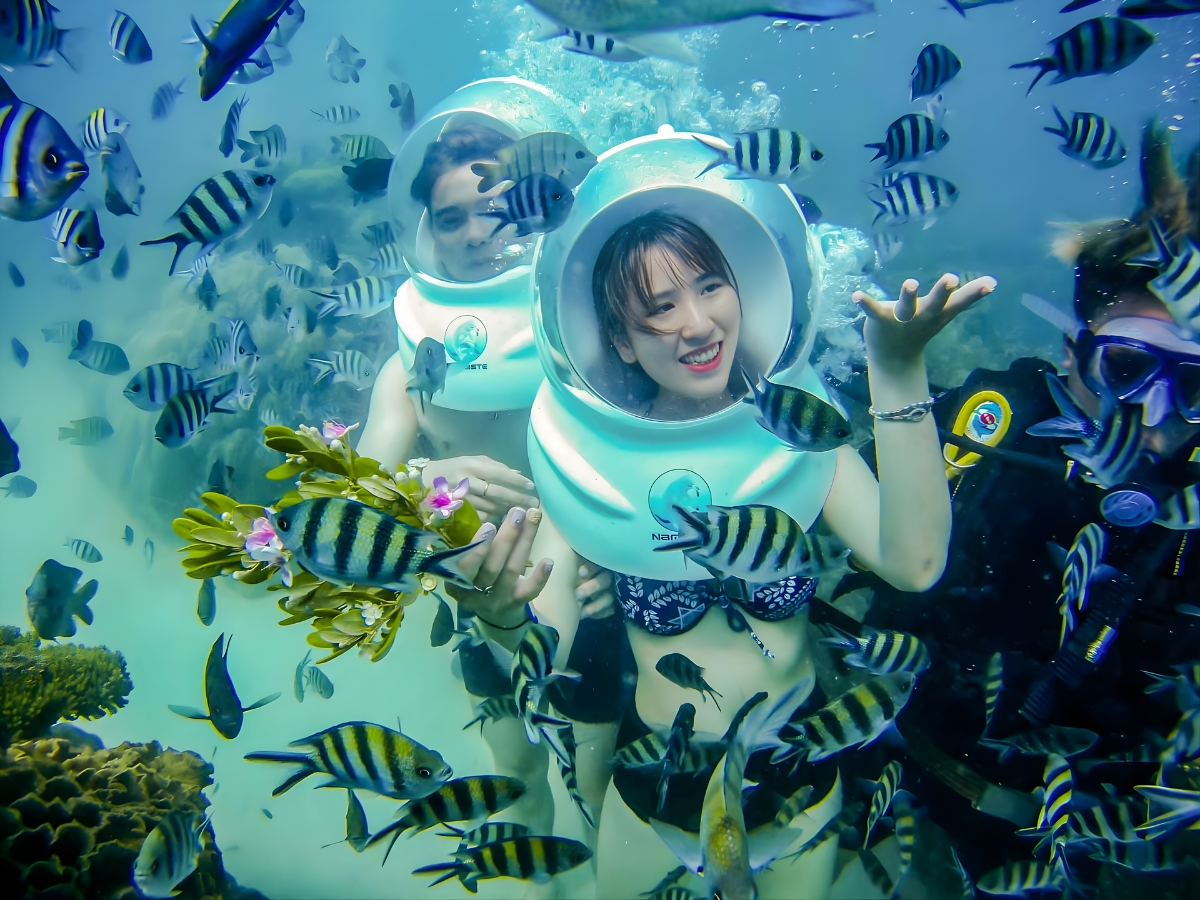 Thời điểm lý tưởng để lặn ngắm san hô là vào mùa khô, từ tháng 11 đến tháng 4 năm sau