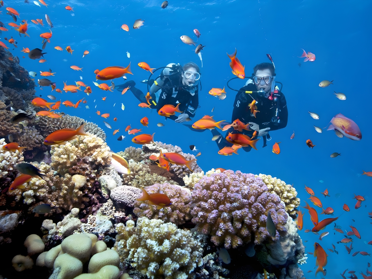 Trải nghiệm lặn biển ngắm san hô tại hòn Rỏi Phú Quốc