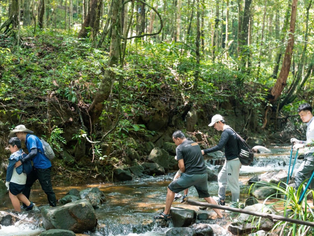 Hệ sinh thái đa dạng giúp du khách hiểu hơn về môi trường tự nhiên đảo Ngọc