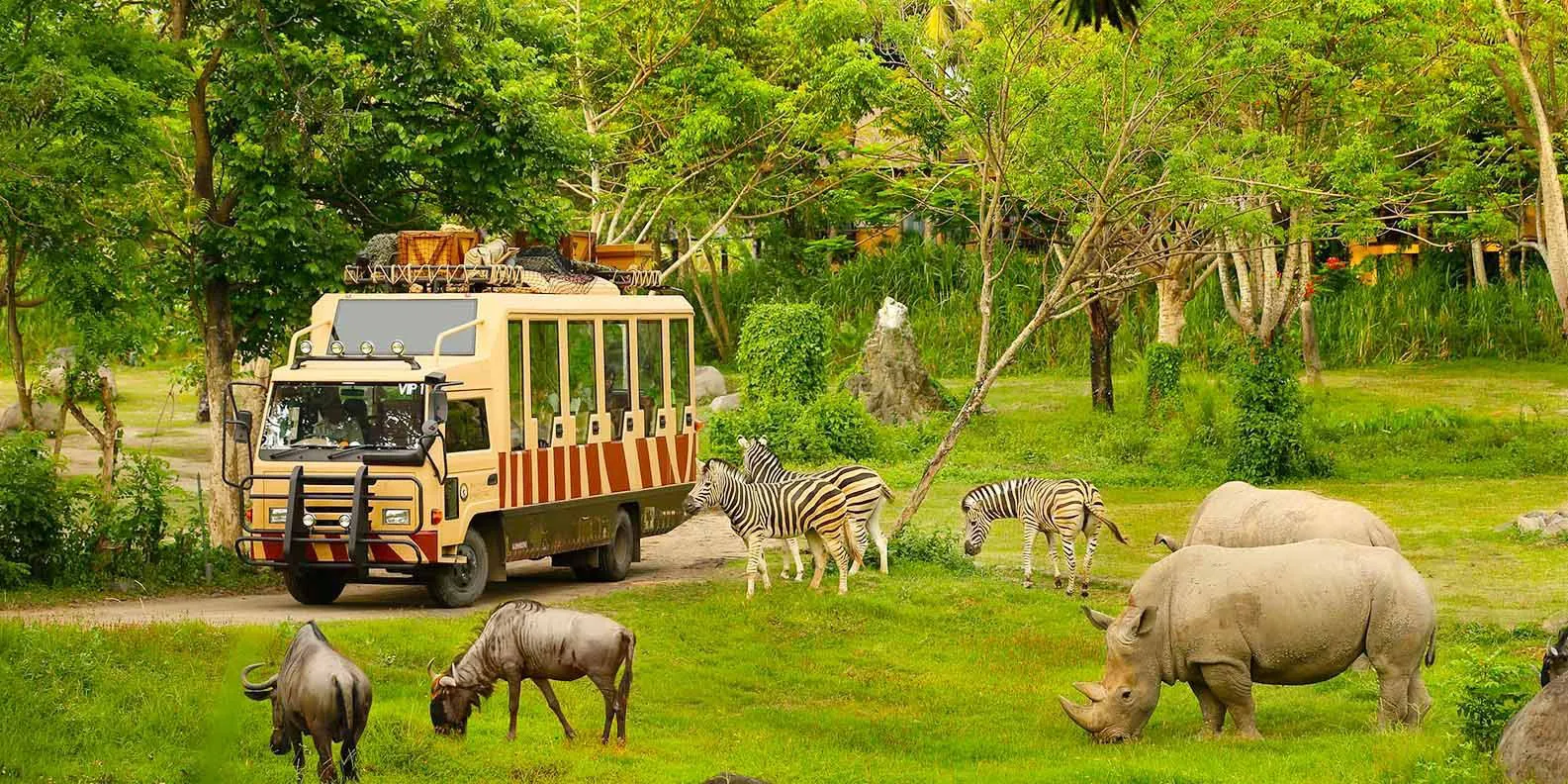 Safari Phú Quốc là điểm đến phù hợp cho gia đình trong mùa du lịch Phú Quốc (Ảnh: Sưu tầm)