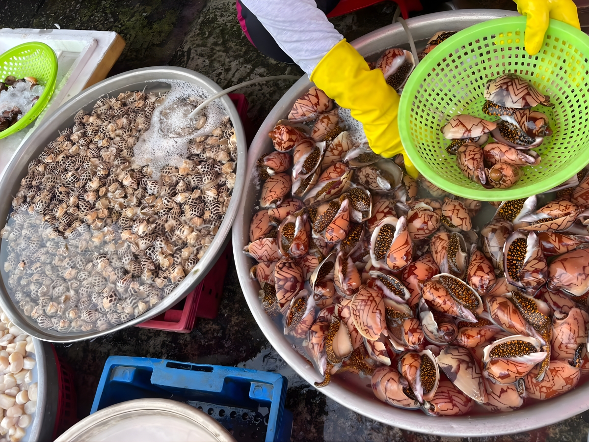 Chợ bày bán đa dạng loại hải sản tươi ngon với giá phải chăng