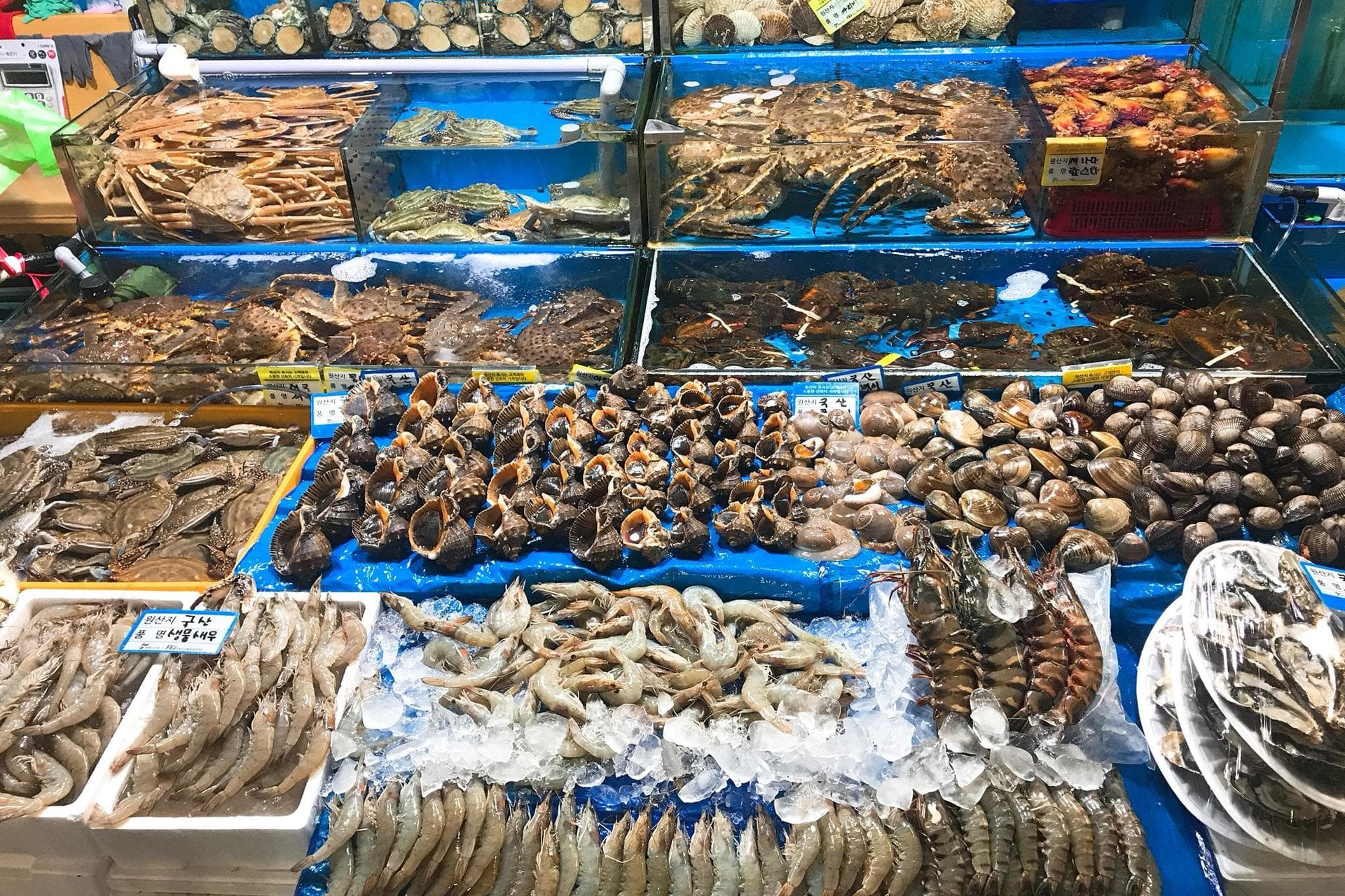 Biên Hải Quán có nguyên liệu hải sản tươi ngon, đa dạng