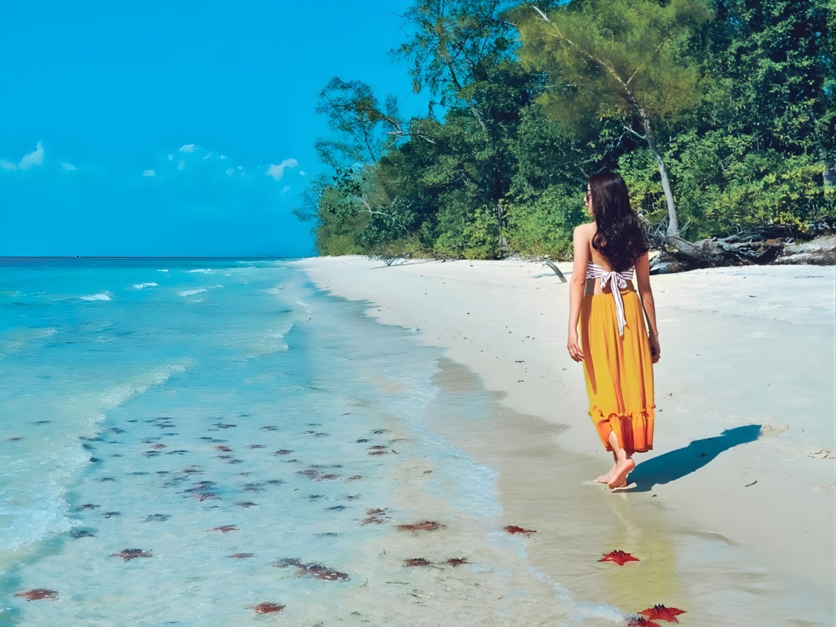 Du khách tắm biển và check-in với sao biển