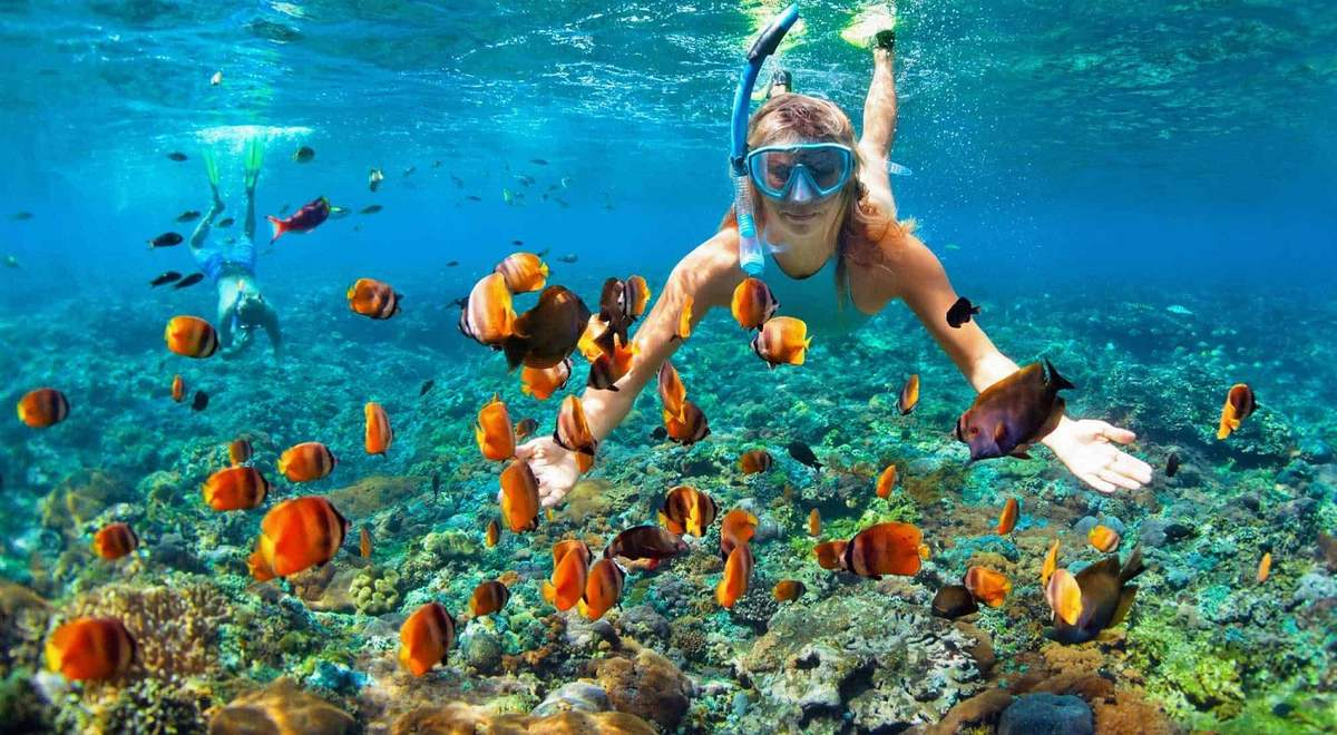 Trong những năm gần đây, snorkeling tour Phú Quốc trở thành một trong những trải nghiệm biển được tìm kiếm nhiều nhất khi du lịch đảo Ngọc