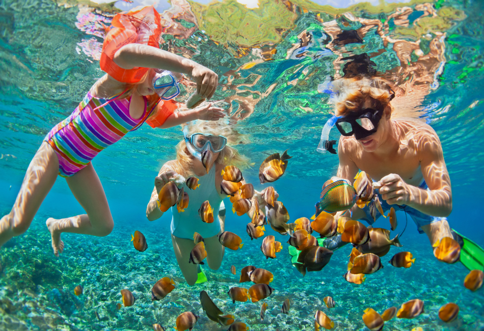 Phần lớn snorkeling tour Phú Quốc tập trung tại quần đảo An Thới ở phía Nam